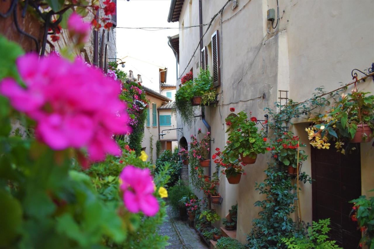 Borgo San Sisto Apartment Spello Buitenkant foto
