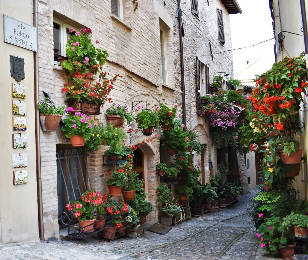 Borgo San Sisto Apartment Spello Buitenkant foto